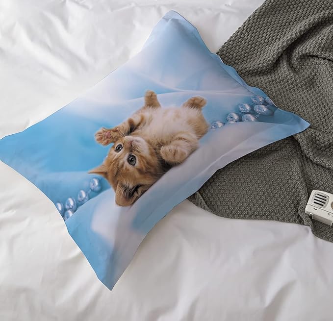 Cat Comforter Set Queen Size for Kids Blue Cat 3Pcs Bedding Set for boys and Girls (1Summer Comforter+ 2 Pillowcases) Lovely Animal Pets Duvet Set - LeafyLoom