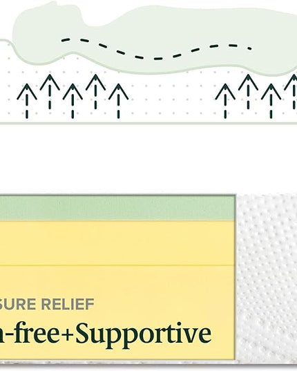 ZINUS 10 Inch Green Tea Essential Memory FoamMattress / Bed-in-a-Box / AffordableMattress / CertiPUR-US Certified, Twin - LeafyLoom