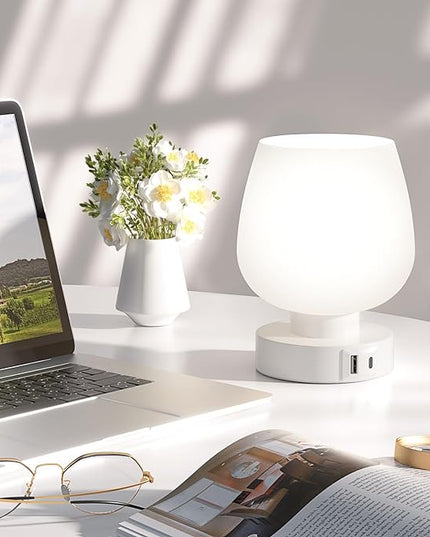 Kakanuo Bedside Table Lamp with Glass Shade, Touch Control, Dual USB A+C Charging Ports, Nightstand Lamp, 3-Way Dimmable, Bulb Included - LeafyLoom