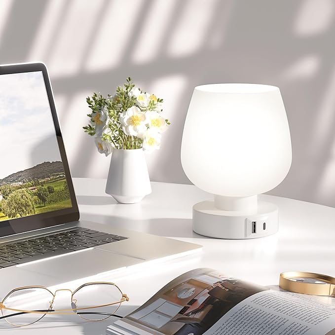 Kakanuo Bedside Table Lamp with Glass Shade, Touch Control, Dual USB A+C Charging Ports, Nightstand Lamp, 3-Way Dimmable, Bulb Included - LeafyLoom
