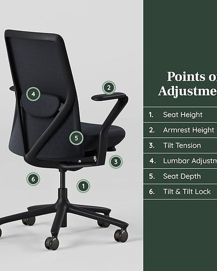 Branch Verve Chair - High Performance Executive Office Chair with Contoured Seat Back and Adjustable Lumbar Rest - High Density Foam Cushion with Aluminum Base - Up to 275 lbs - Galaxy - LeafyLoom