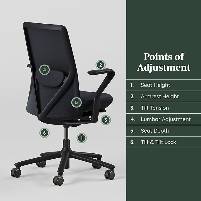 Branch Verve Chair - High Performance Executive Office Chair with Contoured Seat Back and Adjustable Lumbar Rest - High Density Foam Cushion with Aluminum Base - Up to 275 lbs - Galaxy - LeafyLoom