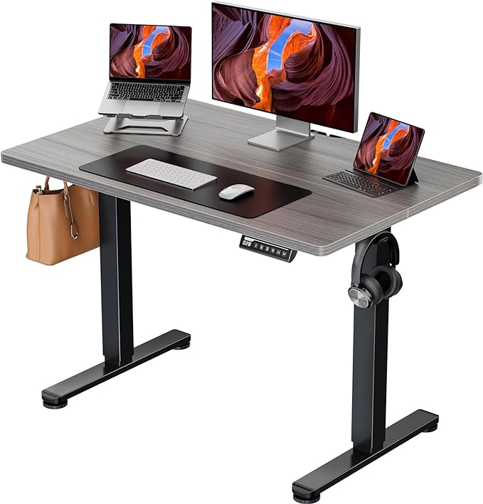 ErGear Height Adjustable Electric Standing Desk, 40 x 24 Inches Sit Stand up Desk, Memory Computer Home Office Desk (Grey) - LeafyLoom