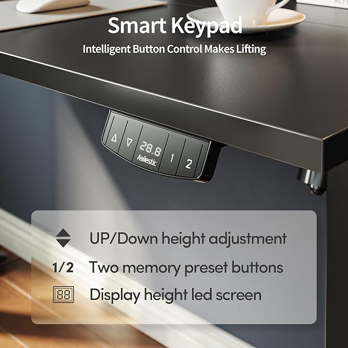 Electric Standing Desk, 48 x 24 Inches Height Adjustable Desk, Sit Stand up Desk for Work Office Home, Ergonomic Rising Gaming Computer Table with Memory Preset, Black - LeafyLoom