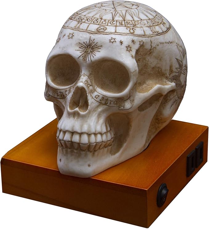Pacific Giftware Astrology Skull Home Decor LED Lamp with Two USB Charging Ports, White - LeafyLoom