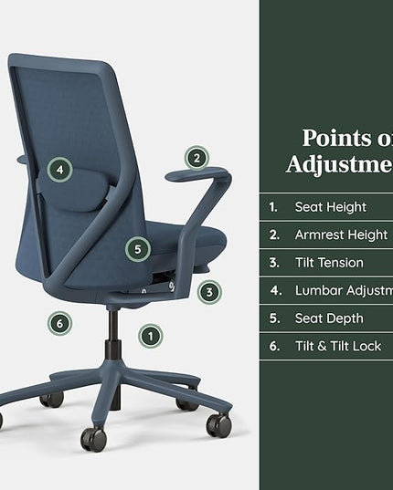 Branch Verve Chair - High Performance Executive Office Chair with Contoured Seat Back and Adjustable Lumbar Rest - High Density Foam Cushion with Aluminum Base - Up to 275 lbs - Cobalt - LeafyLoom