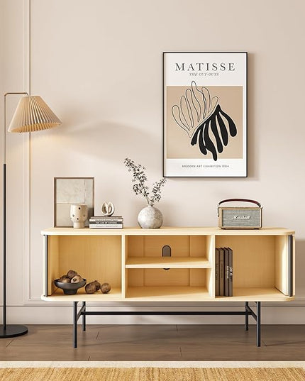 Roomfitters Mid Century Modern TV Stand with Tambour Door for TVs up to 65", Sideboard Buffet Tambour Cabinet with Sliding Door, Entertainment Center for Living Room, Media Console with Storage, Black - LeafyLoom