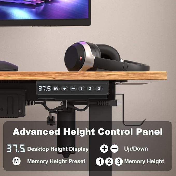 Electric Standing Desk Height Adjustable - 48 x 24 Inches Sit Stand up Desk & Memory Preset Ergonomic Rising Desks for Work, Home Office Workstation Gaming Rising Desk Study Table - LeafyLoom