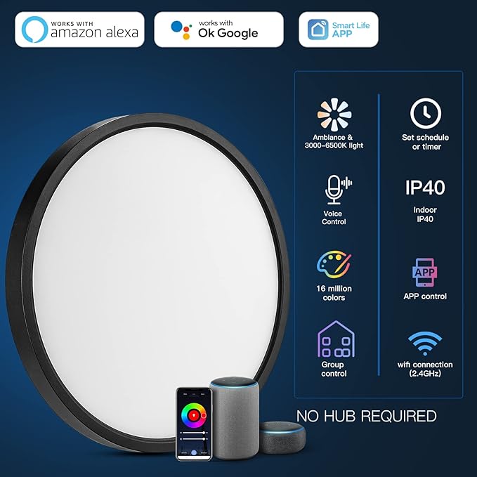 TALOYA Smart Ceiling Light Flush Mount LED WiFi, Compatible with Alexa Google Home, Black Dimmable Low Profile Ambient Light Fixture for Bedroom Living Room,12 Inch 24W Taloya
