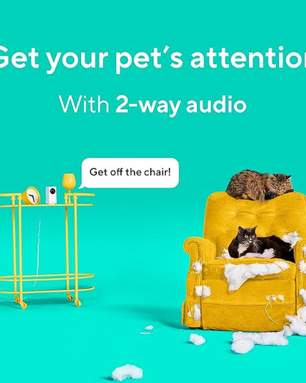 Wyze Cam Pan v2 360° Pet Camera with Phone App PTZ Indoor Smart Security Camera for Dog Cat Baby Elderly Monitoring, 2-Pack WYZE