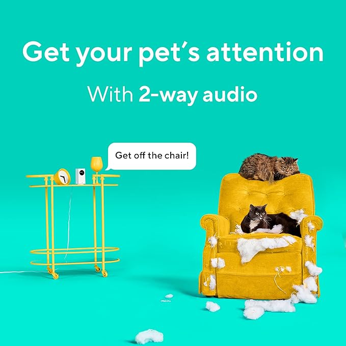 Wyze Cam Pan v2 360° Pet Camera with Phone App PTZ Indoor Smart Security Camera for Dog Cat Baby Elderly Monitoring, 2-Pack WYZE
