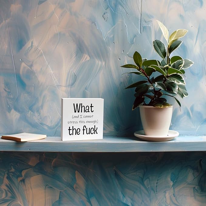 Funny Desk Decor Office Decorations for Work Funny Office Decor What and I Cannot Stress This Enough the Fuck Cool Office Decor Wooden Signs for Home Decor Office Desk Decor Funny Signs (5x5inch) - LeafyLoom