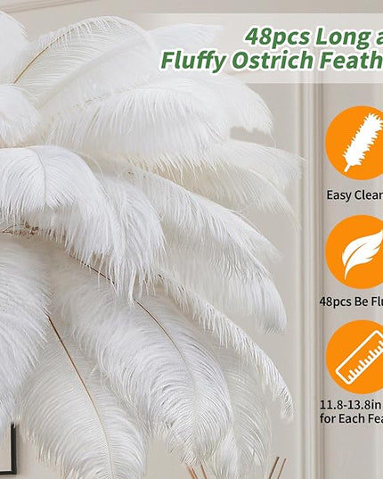 Feather Lamp, Natural Ostrich Feather Floor Lamp for Living Room, 63in Height, 3 Color Temperatures Bright LED Bulbs, Modern Funky Tall Lamp Standing Light for Bedroom (White) - LeafyLoom