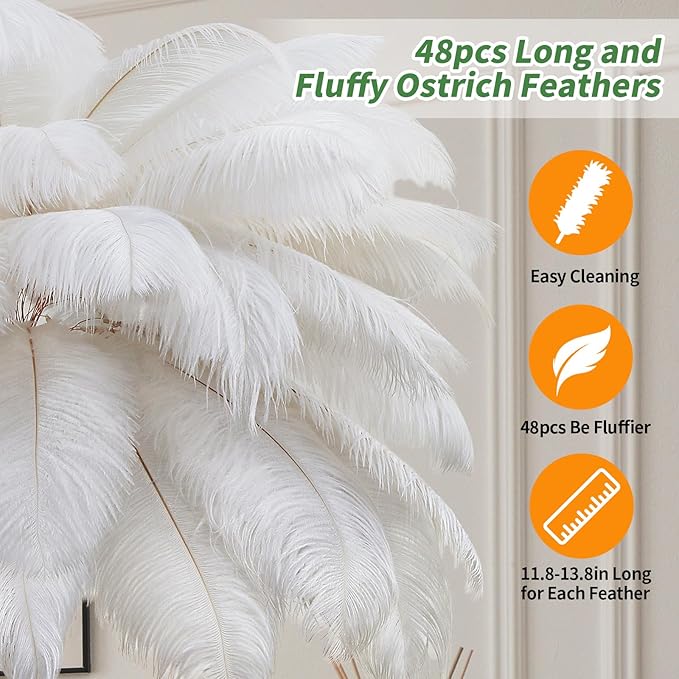 Feather Lamp, Natural Ostrich Feather Floor Lamp for Living Room, 63in Height, 3 Color Temperatures Bright LED Bulbs, Modern Funky Tall Lamp Standing Light for Bedroom (White) - LeafyLoom