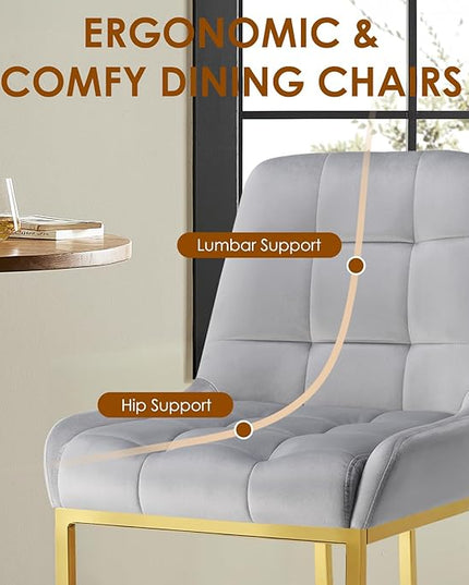 STARY Upholstered Velvet Armless Dining Room Chairs with Gold Metal Legs for Kitchen Restaurant, Gray- Set of 2 - LeafyLoom