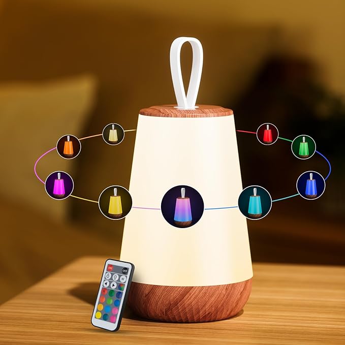 Dimmable Night Light Touch Lamp for Bedroom Rechargeable Remote Bedside Lamp Portable Hanging Table Lamp Changeable Warm White Light Perfect Toy Gift for Kids Adults - LeafyLoom