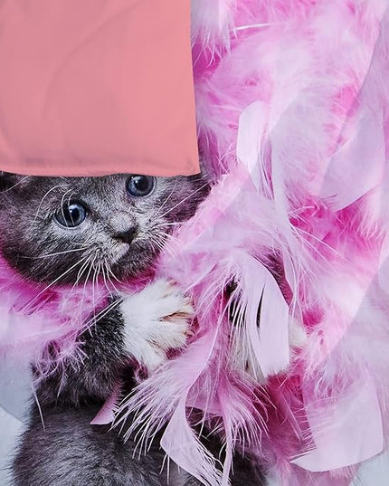 Cat Comforter Set Queen Size for Kids Pink Feathers Black Cat 3Pcs Bedding Set for boys and Girls (1Summer Comforter+ 2 Pillowcases) Lovely Animal Pets Duvet Set - LeafyLoom