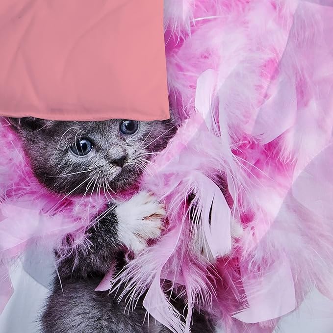 Cat Comforter Set Queen Size for Kids Pink Feathers Black Cat 3Pcs Bedding Set for boys and Girls (1Summer Comforter+ 2 Pillowcases) Lovely Animal Pets Duvet Set - LeafyLoom