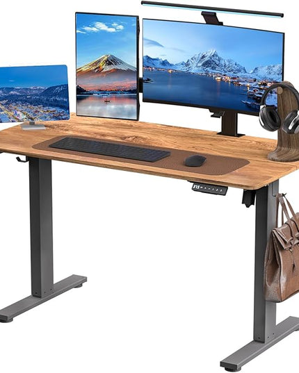 Electric Standing Desk Height Adjustable - 48 x 24 Inches Sit Stand up Desk & Memory Preset Ergonomic Rising Desks for Work, Home Office Workstation Gaming Rising Desk Study Table - LeafyLoom