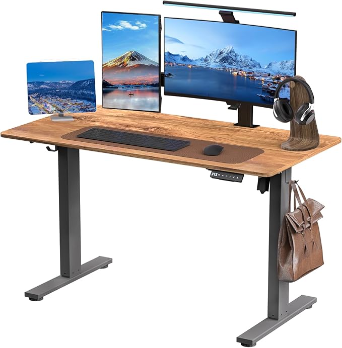 Electric Standing Desk Height Adjustable - 48 x 24 Inches Sit Stand up Desk & Memory Preset Ergonomic Rising Desks for Work, Home Office Workstation Gaming Rising Desk Study Table - LeafyLoom