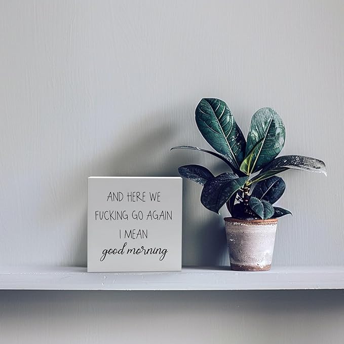 Funny Office Decor Office Desk Decor Aesthetic Office Cubicle Decor and Here We F*cking Go Again I Mean Good Morning Office Shelf Decor Office Decorations for Work Funny Office Gifts (5x5inch) - LeafyLoom
