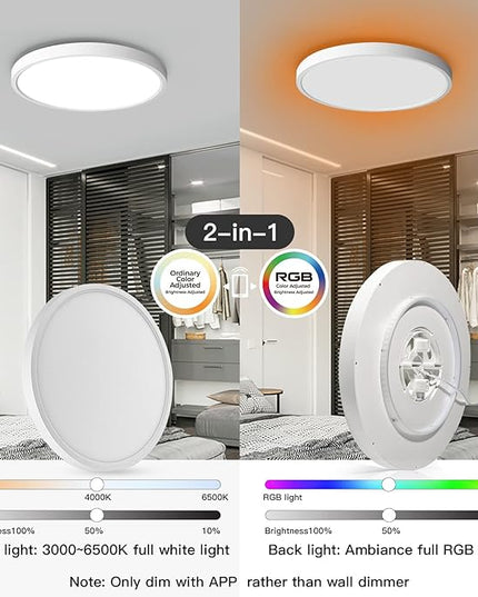 TALOYA Compatible with Alexa Flush Mount Ceiling Light, 12 inch RGB Ambient Light, Day Light 3000K~6500K Adjustable by App, equivs to 200W Traditional lamp for Living Room, Bedroom, 2-Pack Taloya