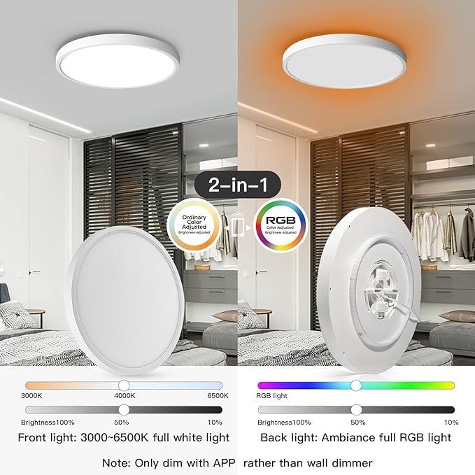 TALOYA Compatible with Alexa Flush Mount Ceiling Light, 12 inch RGB Ambient Light, Day Light 3000K~6500K Adjustable by App, equivs to 200W Traditional lamp for Living Room, Bedroom, 2-Pack Taloya