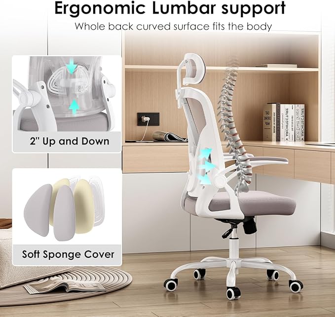 Farini Ergonomic Office Chair, Home Office Desk Chair with Headrest, High Back Computer Chair with Flip-up Armrests and Adjustable Lumbar Support.for Home Office Study Room Bedroom, Gray. - LeafyLoom