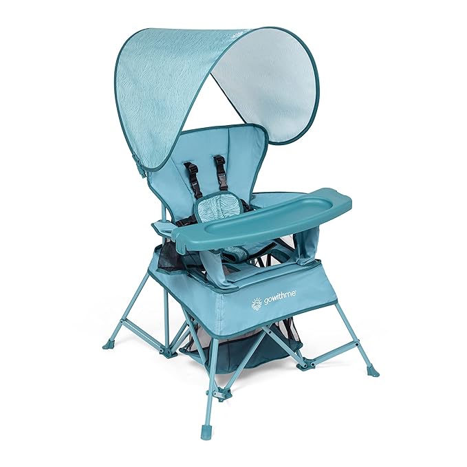 Baby Delight Go with Me Venture Portable Chair | Indoor and Outdoor | Sun Canopy | 3 Child Growth Stages | Blue Wave - LeafyLoom