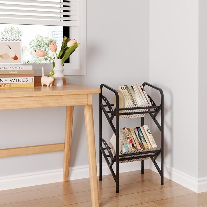Bookshelf Storage Shelf Bookcase Freestanding Storage Stand Book Organizer for Living Room, Bedroom, Kitchen, Rust Resistance,Easy Assembly Multi-Functional Organizer (2 Tiers, Black) - LeafyLoom