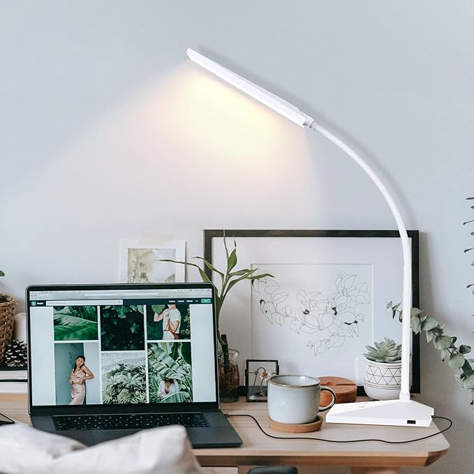 RAOYI LED Desk Lamp, 12W Dimmable Table Lamp Eye-Caring Reading Light with USB Charging Port Touch Control 5 Color Modes 6-Level Brightness Adjustable for Office Home Bedroom (White) - LeafyLoom