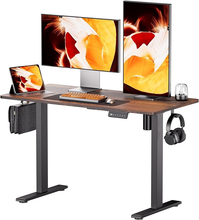 Electric Standing Desk - Adjustable Height with Memory Preset, 48 x 24 Inches Ergonomic Design Home Office Standing Desk - LeafyLoom