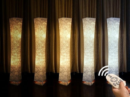 LEONC Design Soft Light Floor Lamp, 52 Inch LEONC Twist Tower Morden Slim RGB Color Changing LED Tyvek Fabric Shade Dimmable Remote Control & 2 Smart LED Bulbs for Livingroom - LeafyLoom