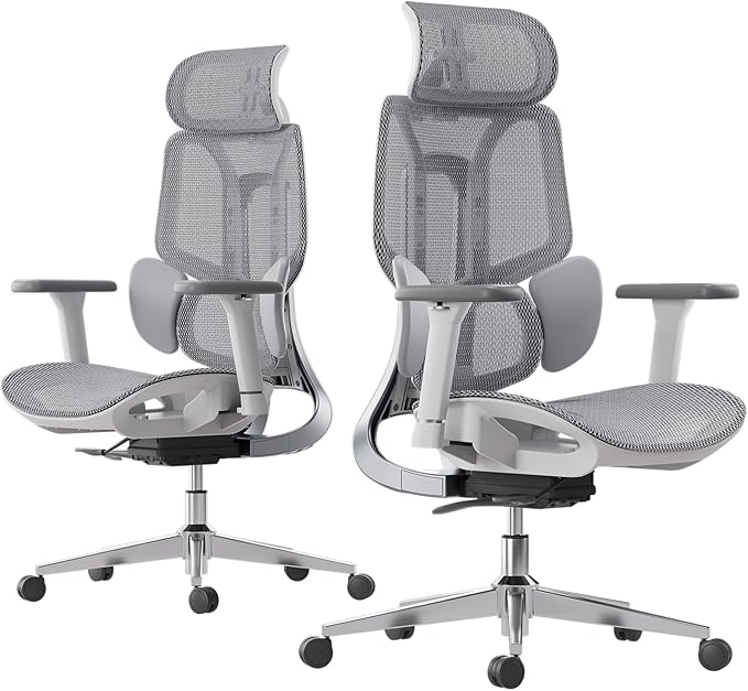 Hbada E3 Ergonomic Office Chair, Big and Tall Office Chair - with 3-Zone Dynamic Lumbar Support, 3D Adjustable Headrest, 3D Adjustable Armrests, Swivel Computer Chair, Grey(No Footrest) - LeafyLoom