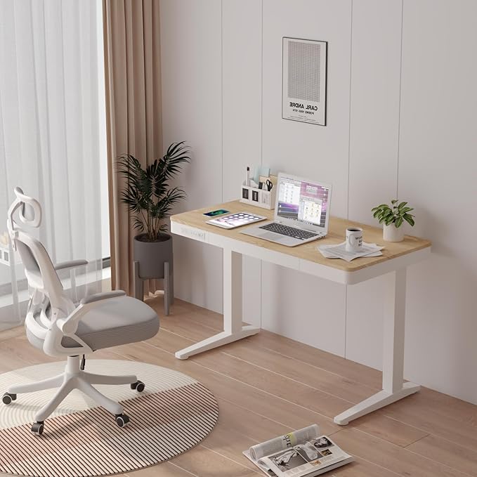 Standing Desk with Drawer and Wireless Charging,48x24 inch Dual Motor Standing Desk, Sit Stand Desk with Whole-Piece Desktop,Stand Up Desk for Home Office(White Oval Legs + Bamboo Top) - LeafyLoom