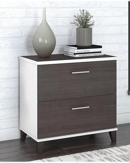 Bush Furniture Somerset 2 Drawer Lateral File Cabinet | Letter, Legal, and A4-size Document Storage for Home Office, 30W x 17D x 29H, White and Storm - LeafyLoom