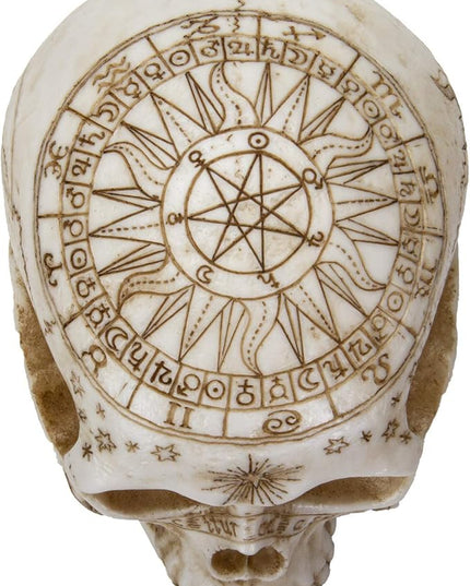 Pacific Giftware Astrology Skull Home Decor LED Lamp with Two USB Charging Ports, White - LeafyLoom