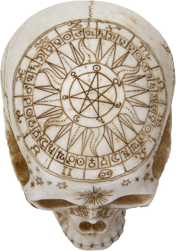 Pacific Giftware Astrology Skull Home Decor LED Lamp with Two USB Charging Ports, White - LeafyLoom