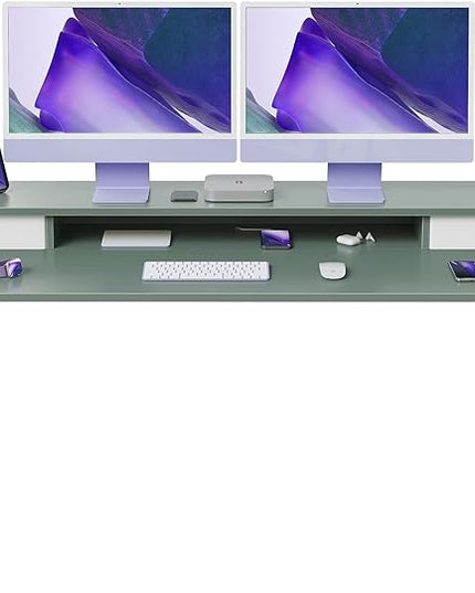 FEZIBO 60 x 24 Inch Height Adjustable Electric Standing Desk with Double Drawer, Stand Up Desk with Storage Shelf, Sit Stand Desk, Green - LeafyLoom