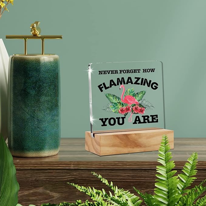 Motivational Flamingo Acrylic Desk Sign Decoration Plaque Never Forget How Flamazing You are Desk Sign Keepsake Home Office Room Desk Decor - LeafyLoom