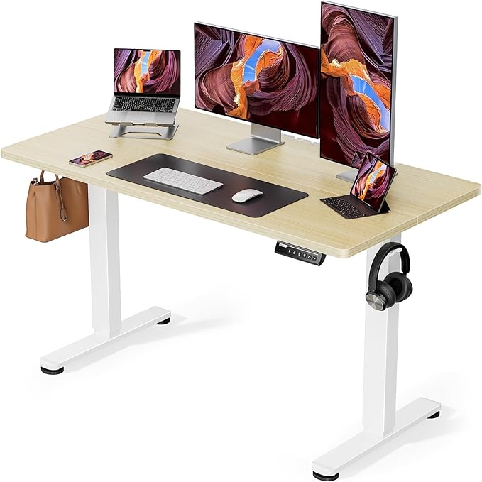 ErGear Height Adjustable Electric Standing Desk, 48 x 24 Inches Sit Stand up Desk, Memory Computer Home Office Desk (Natural) - LeafyLoom
