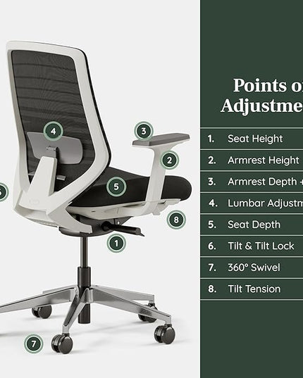 Branch Ergonomic Chair - A Versatile Desk Chair with Adjustable Lumbar Support, Breathable Mesh Backrest, and Smooth Wheels - Experience Optimal Comfort and Support - Black - LeafyLoom