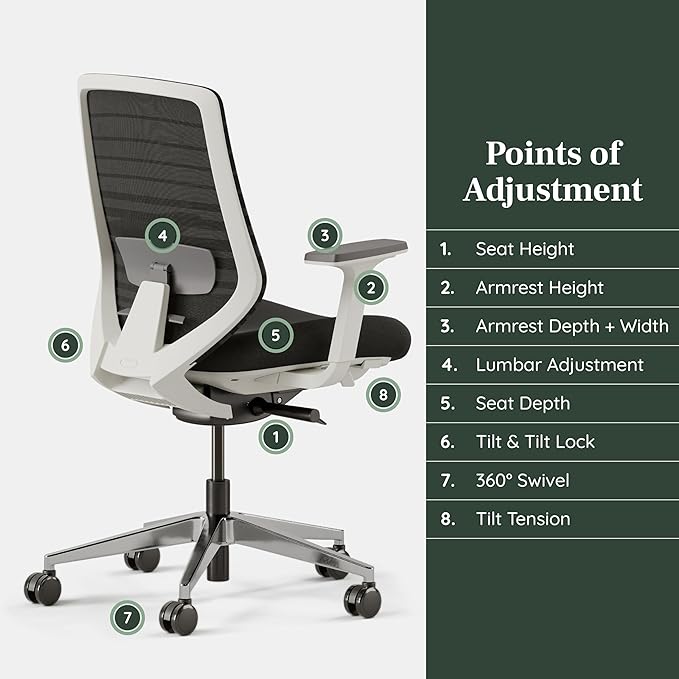 Branch Ergonomic Chair - A Versatile Desk Chair with Adjustable Lumbar Support, Breathable Mesh Backrest, and Smooth Wheels - Experience Optimal Comfort and Support - Black - LeafyLoom