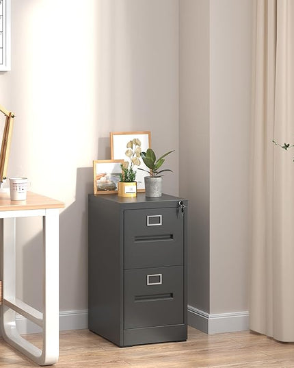 2 Drawer File Cabinet,Metal Filing Cabinets with Lock,Black Vertical File Cabinet for Home Office,Heavy Duty Metal Storage Cabinet for A4/Letter/Legal Size File,Assembly Required - LeafyLoom