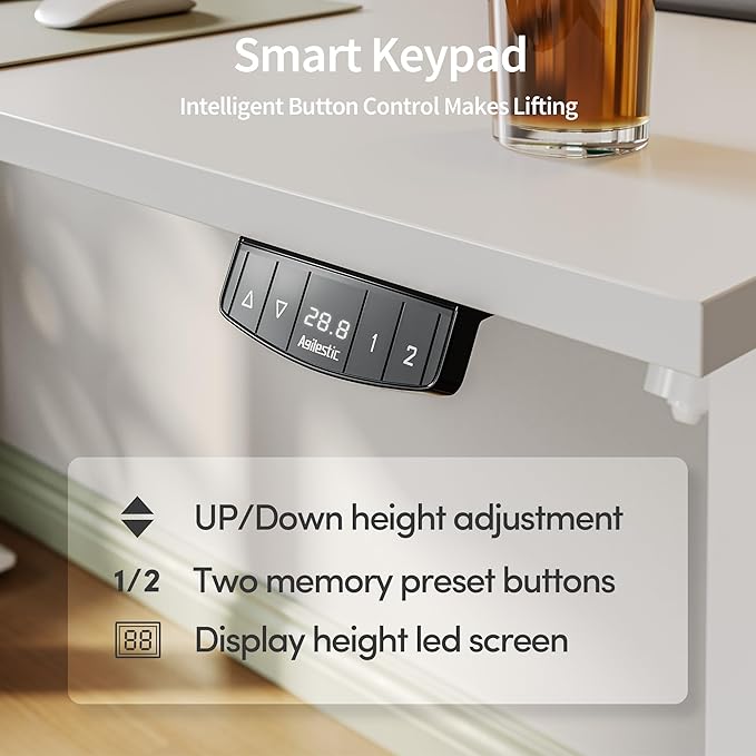 Electric Standing Desk, 48 x 24 Inches Height Adjustable Desk, Sit Stand up Desk for Work Office Home, Ergonomic Rising Computer Table with Memory Preset, White - LeafyLoom