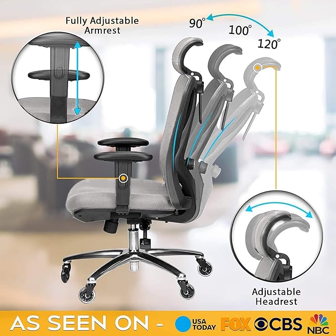 Duramont Ergonomic Office Chair with Adjustable Lumbar Support, High, Head and Arm Rests Back Pain Chairs with Breathable Mesh - Thick Seat Cushion, Reclines Desk Chair Rollerblade Wheels GREY - LeafyLoom