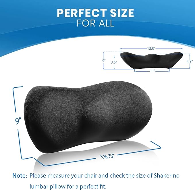 Lumbar Support Pillow – Memory Foam Lumbar Pillow for Lower Back Support, Back Cushion with Strap for Pain Relief, Perfect Lumbar Support Pillow for Office Chair, Car Seat, Bed, Recliner - LeafyLoom