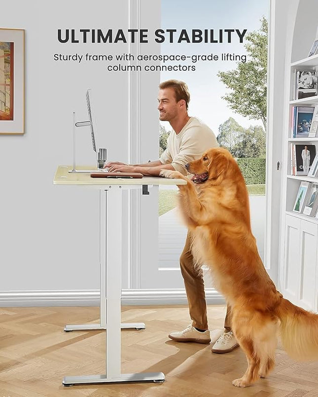 ErGear Height Adjustable Electric Standing Desk, 48 x 24 Inches Sit Stand up Desk, Memory Computer Home Office Desk (Natural) - LeafyLoom