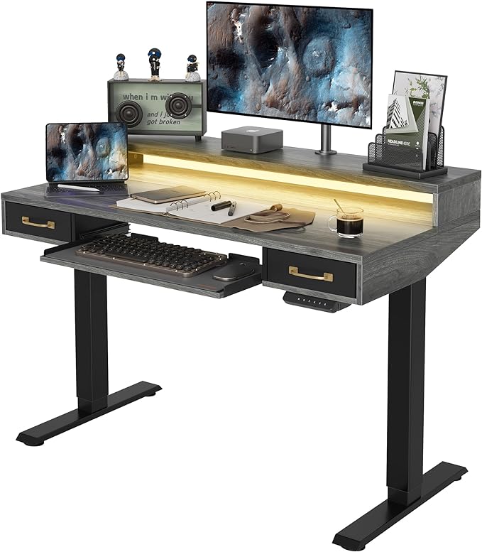 FEZIBO 48 x 24 Inch Height Adjustable Electric Standing Desk with Double Drawers&Keyboard Tray, Stand Up Desk with LED Strips, Sit Stand Desk with Monitor Stand, Rustic Grey - LeafyLoom