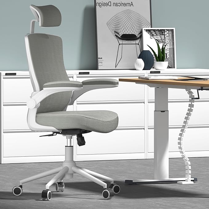 𝑯𝑶𝑴𝑬 𝑶𝑭𝑭𝑰𝑪𝑬 𝑪𝑯𝑨𝑰𝑹, Ergonomic Mesh Desk Chair, High Back Computer Chair- Adjustable Headrest with Flip-Up Arms, Lumbar Support, Swivel Executive Task Chair (Modern, Star Dust) - LeafyLoom